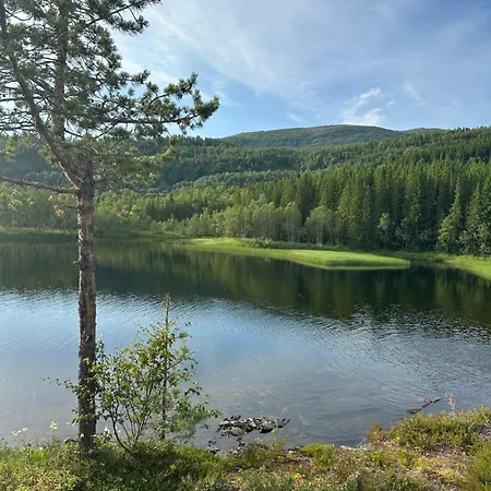 By The Fjord And Mountains Rum i privatbostad Bogen (Nordland)